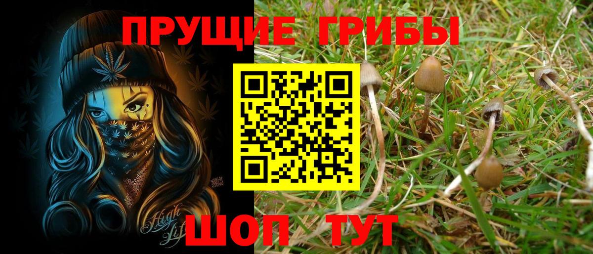 Галлюциногенные грибы Cubensis  Псилоцибиновые грибы GOLDEN TEACHER  Чернушка  Вход с VPN 